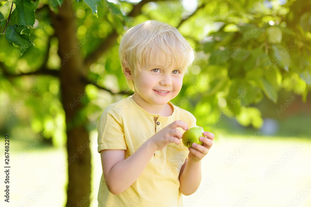 Little boy having fun with apple in domestic garden. Little boy having fun with apple in domestic garden.