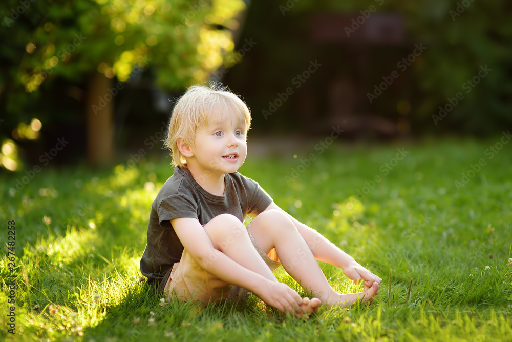 Beautiful boy is sitting on the grass on a sunny summer day. Happy childhood. Beautiful boy is sitting on the grass on a sunny summer day. Happy childhood.