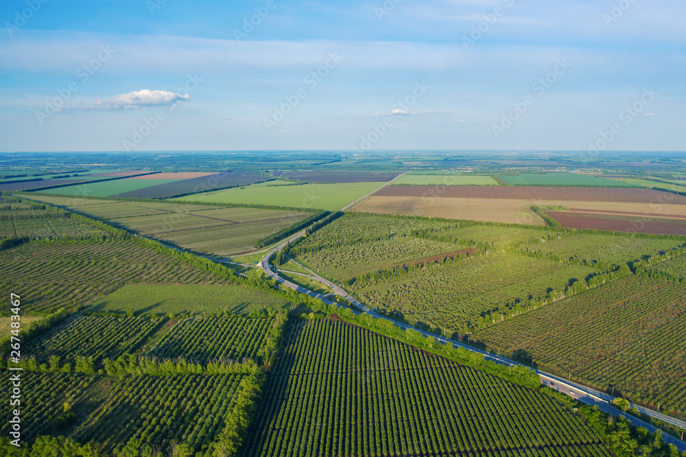Aerial view of farmland with agriculture fields, green meadows till horizon,
