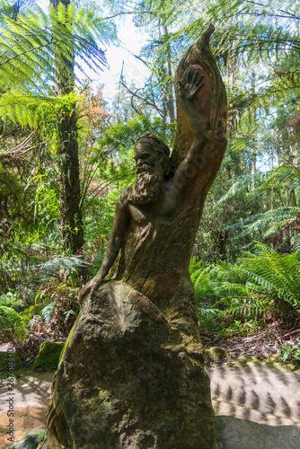 Nature in Dandenong mountain Melbourne