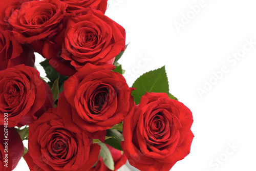 red roses card flower background valentine romance greeting florist