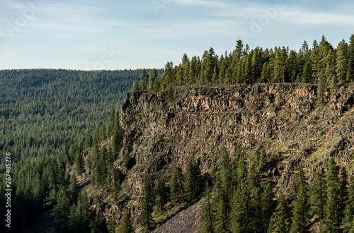 view on to a volcanic cliff with pine trees on top, late afternoon light, great as background