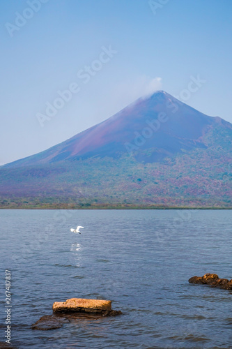 Momotombo volcano view with a eron in the lake photo