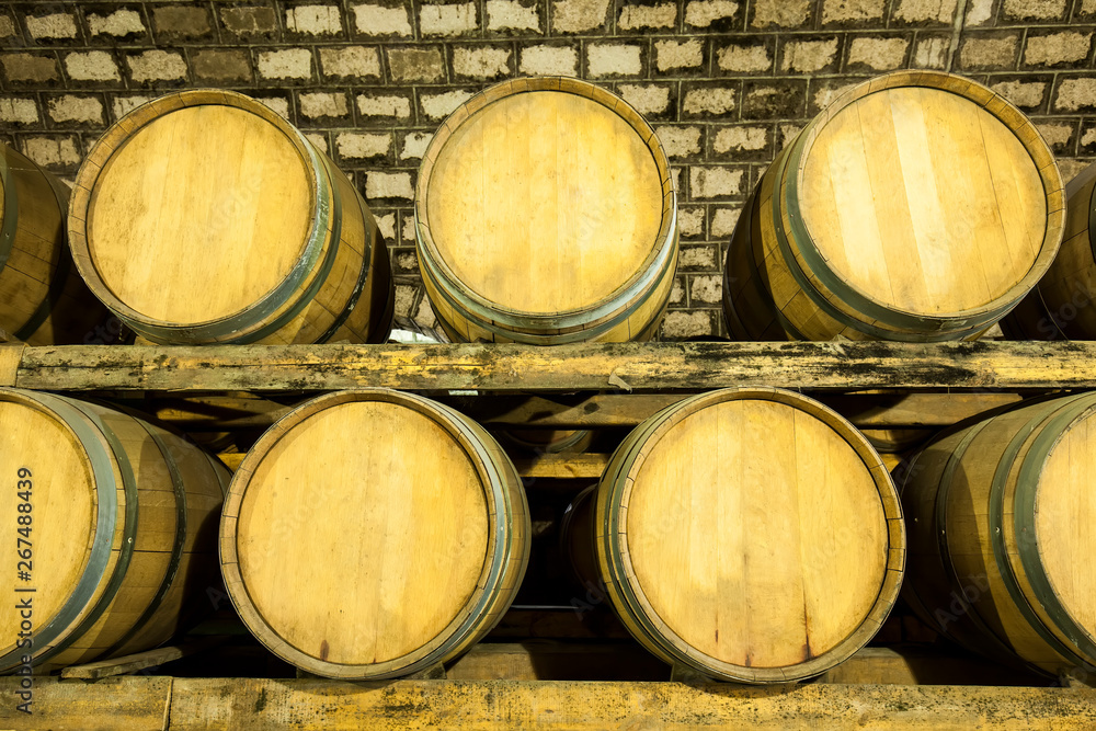 Wine Cellar with Wooden Barrels Wine Cellar with Wooden Barrels