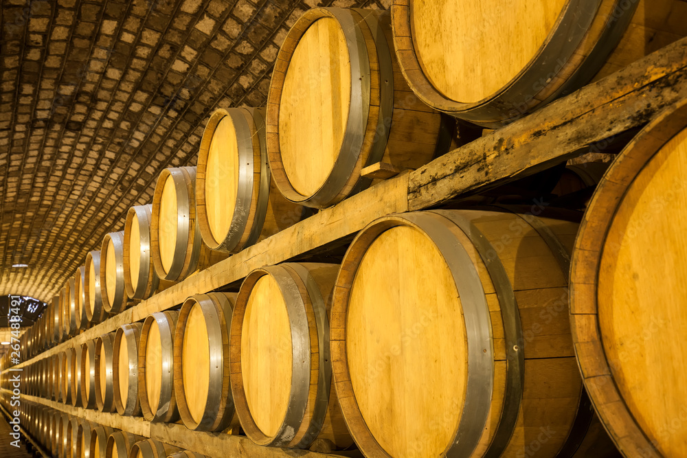  Wine Cellar with Wooden Barrels