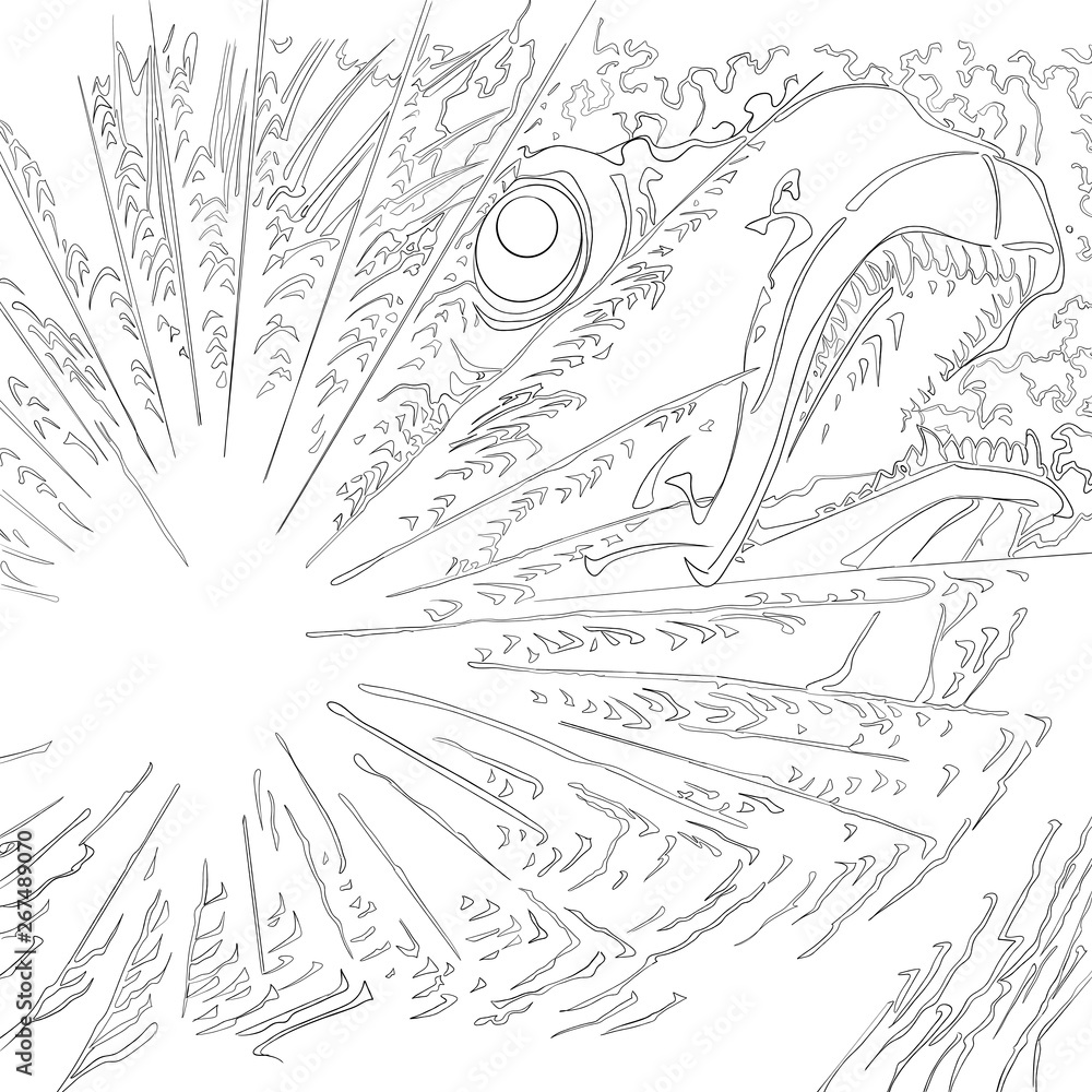 Obraz premium japanese colouring page