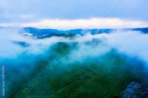 Misty morning above tea plantation highland
