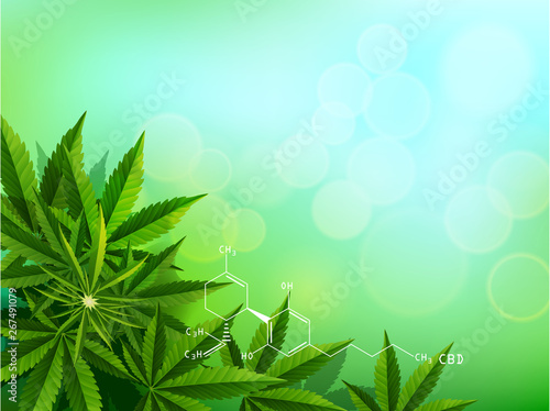 Green cannabis leaf drug marijuana herb Background.
