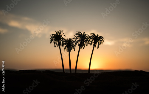 Tropical palm coconut trees on sunset sky nature background. Silhouette coconut palm trees on beach at sunset