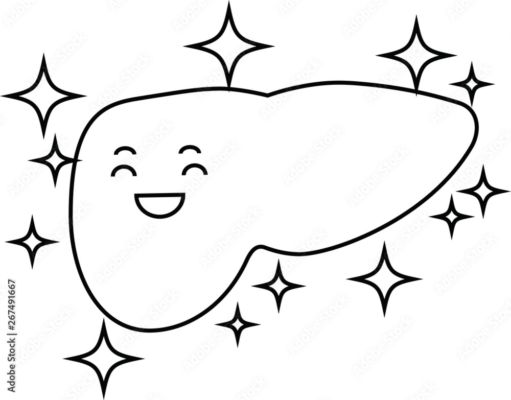 Illustration of a cute liver outline Illustration of a cute liver outline