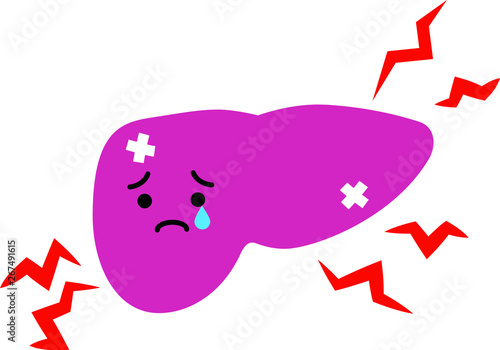 Illustration of a cute liver set