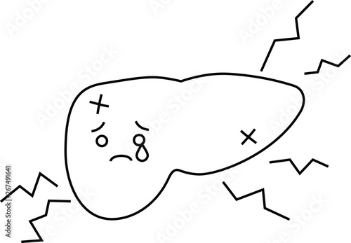 Illustration of a cute liver outline