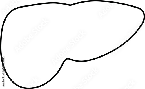 Illustration of a cute liver outline