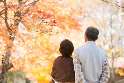 紅葉を眺めるシニア夫婦の後姿