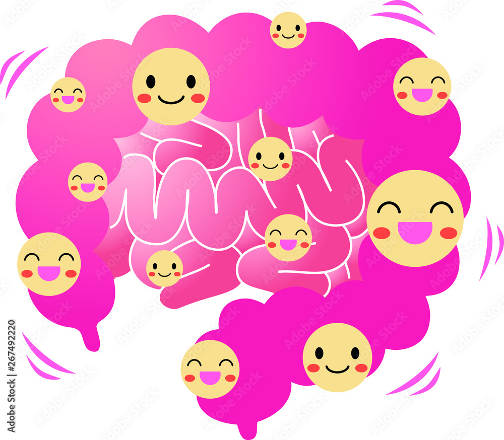 Illustration of a cute large intestine and small intestine Illustration of a cute large intestine and small intestine
