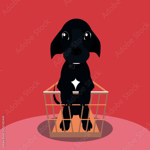 mascota vector