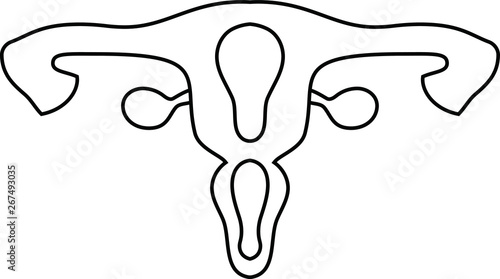 Illustration of a cute uterus outline