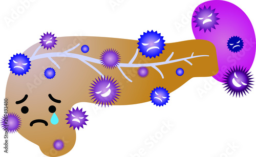 Illustration of a cute pancreas and spleen