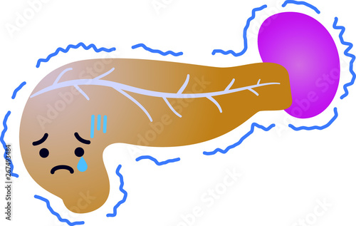 Illustration of a cute pancreas and spleen