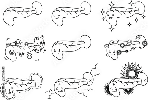 Illustration of a cute pancreas and spleen outline set