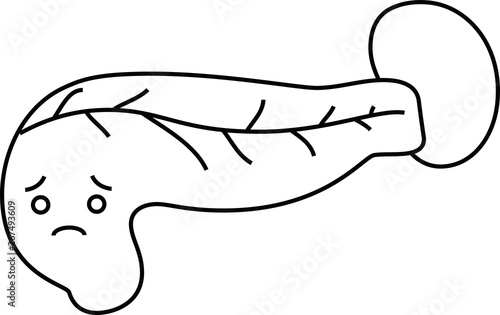 Illustration of a cute pancreas and spleen outline