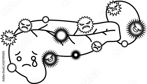 Illustration of a cute pancreas and spleen outline