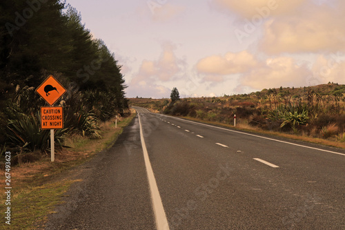 Kiwi warning road sign, New Zealand