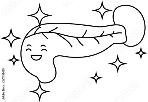 Illustration of a cute pancreas and spleen outline