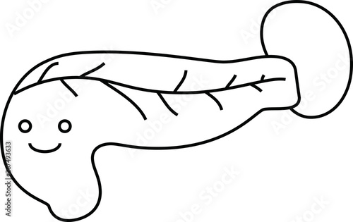 Illustration of a cute pancreas and spleen outline