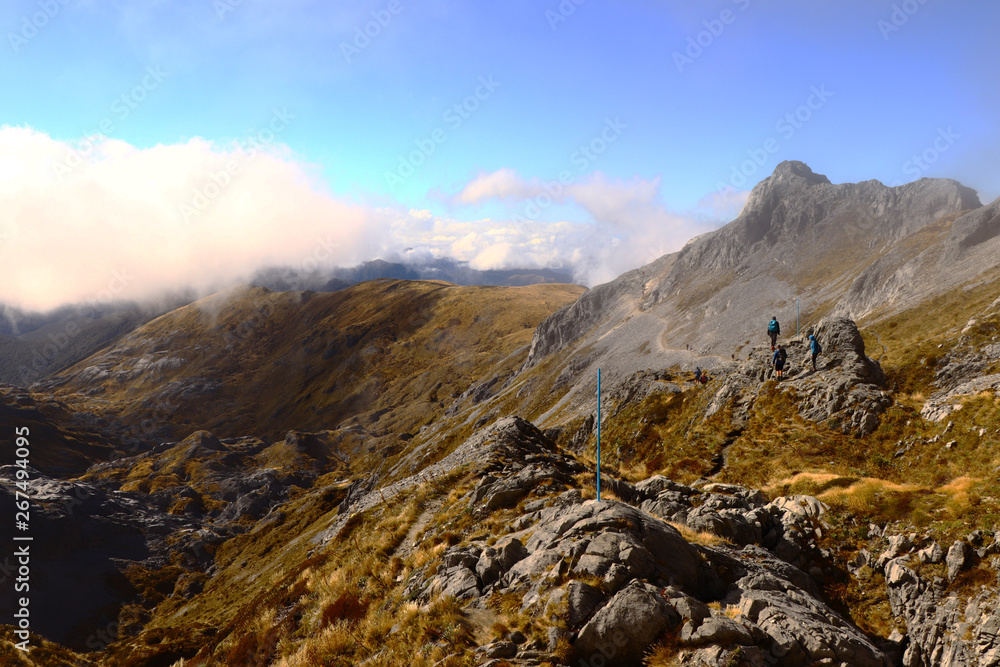 Mt. Arthur trail, New Zealand, South Island, trekking Mt. Arthur trail, New Zealand, South Island, trekking