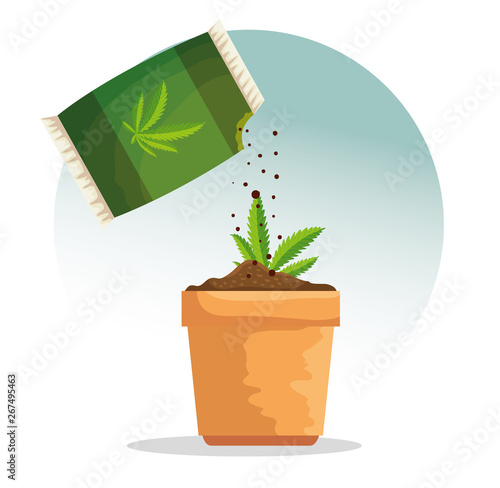 cannabis plant inside plantpot and marijuana bag