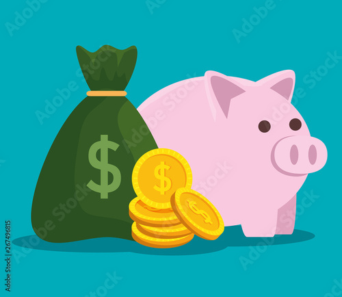 piggy with coins currency and business bag money