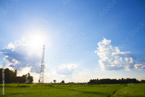 The wide field and Signal Tower for Communication in the farming season.The Field around with that cloud and sky view.