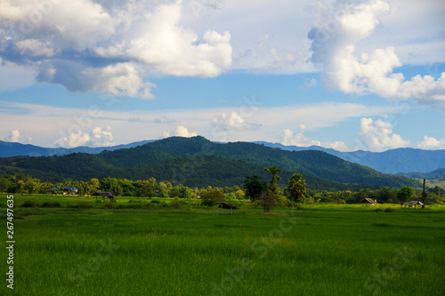 The wide field in the farming season with that perfect mountain, cloud and skyscape view. © Montree