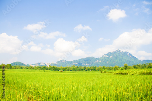 That perfect mountain, cloud and skyscape view with the wide field in the farming season.