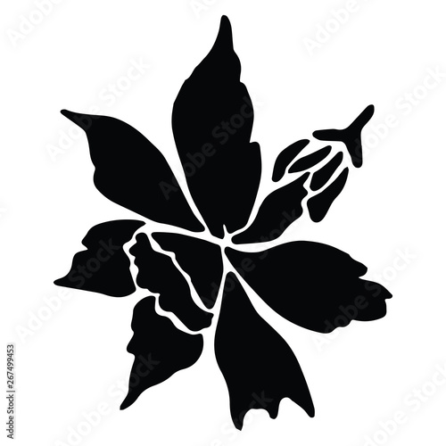 Cute monochrome daffodil petals silhouette cartoon vector illustration motif set. Hand drawn black and white floral elements clipart for gardening blog.