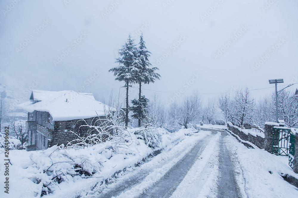 Snow covered trees and houses in the winter forest with road. Winter Road, just after the snow fall. Road through frozen forest with snow. Beautiful winter landscape - Image