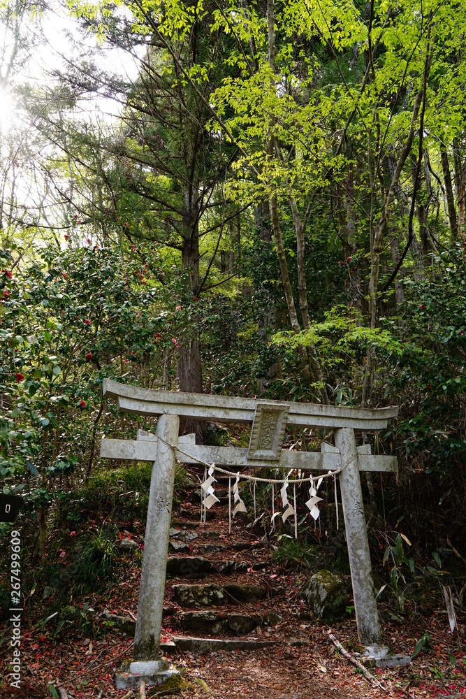 Naklejka premium 花園神社 奥の院