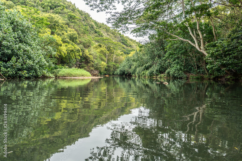 Reflection and ripples on the Wailua River, Kauai Reflection and ripples on the Wailua River, Kauai