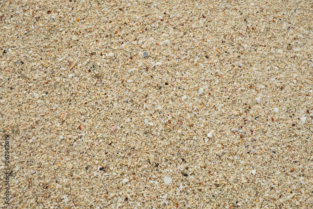 Sand texture background, Small shells Broken coral , natural sand at the beach close up. Sand texture background, Small shells Broken coral , natural sand at the beach close up.