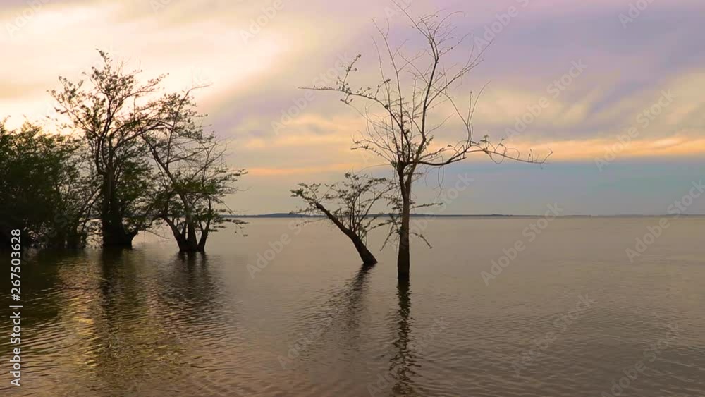 Trees stand in shallow water under evening sunlight at Lake Victoria. Scattered clouds in orange sky and still water visible. Kalangala, Uganda. Trees stand in shallow water under evening sunlight at Lake Victoria. Scattered clouds in orange sky and still water visible. Kalangala, Uganda.