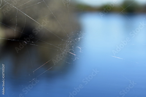 Abstract background. Natural thin spider web on blurred background of shore of water