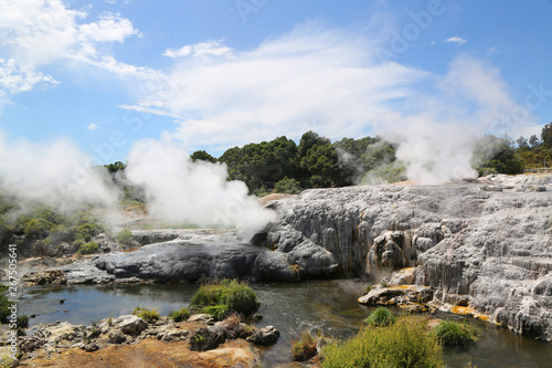 Pohutu Geyser in Te Puia National Park, Rotorua, New Zealand