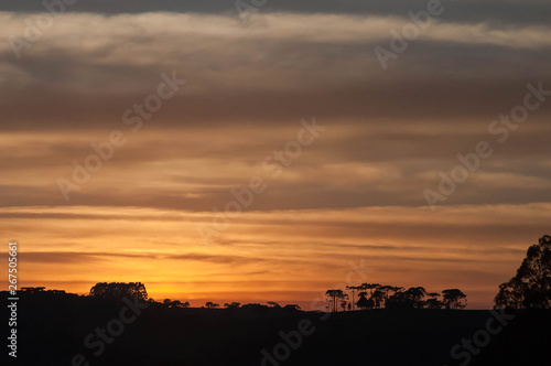 sunrise in the field