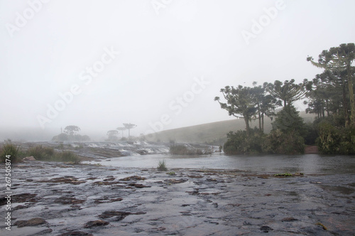 fog on river photo