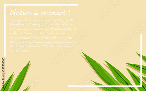 Botanical rustic natural template with pandan leaves, frame and copy space for text. Flat lay, top view, vector illustration.