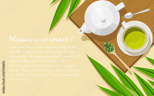 A white porcelain teapot, a white cup with pandan tea, dried and fresh leaves, and teaspoons on a wooden board. Healthy herbal tea concept. Top view. Flat lay. Copy space. Vector illustration.