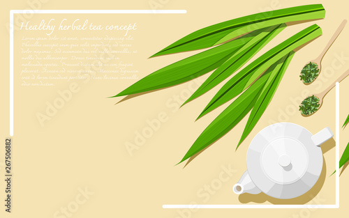 Healthy herbal tea concept. Alternative medicine from herbs. A teapot with dried and fresh pandan leaves. Top view. Flat lay. Copy space. Vector illustration.