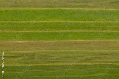 aerial picture of meadow