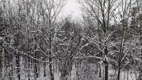 Wallpaper Mural Droneshot with snowfall in forest Torontodigital.ca